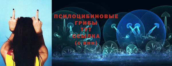 не бодяженный Дмитров