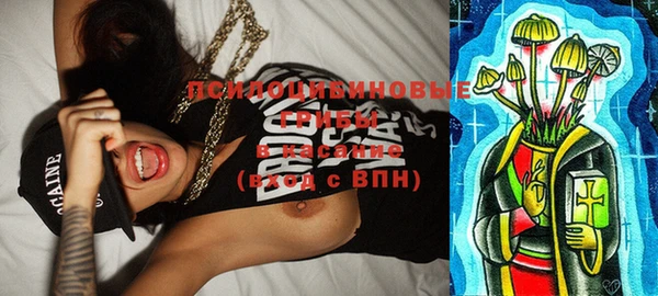 не бодяженный Дмитров